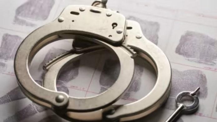 33-year-old woman travelling in stolen vehicle faces felony charges after admitting to police to swallowing illegal substances